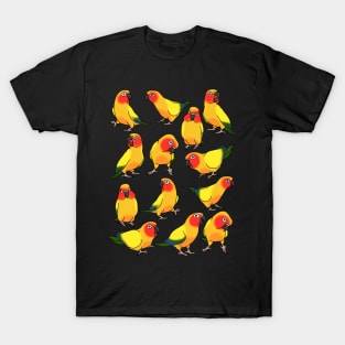 sun conure doodle pattern T-Shirt